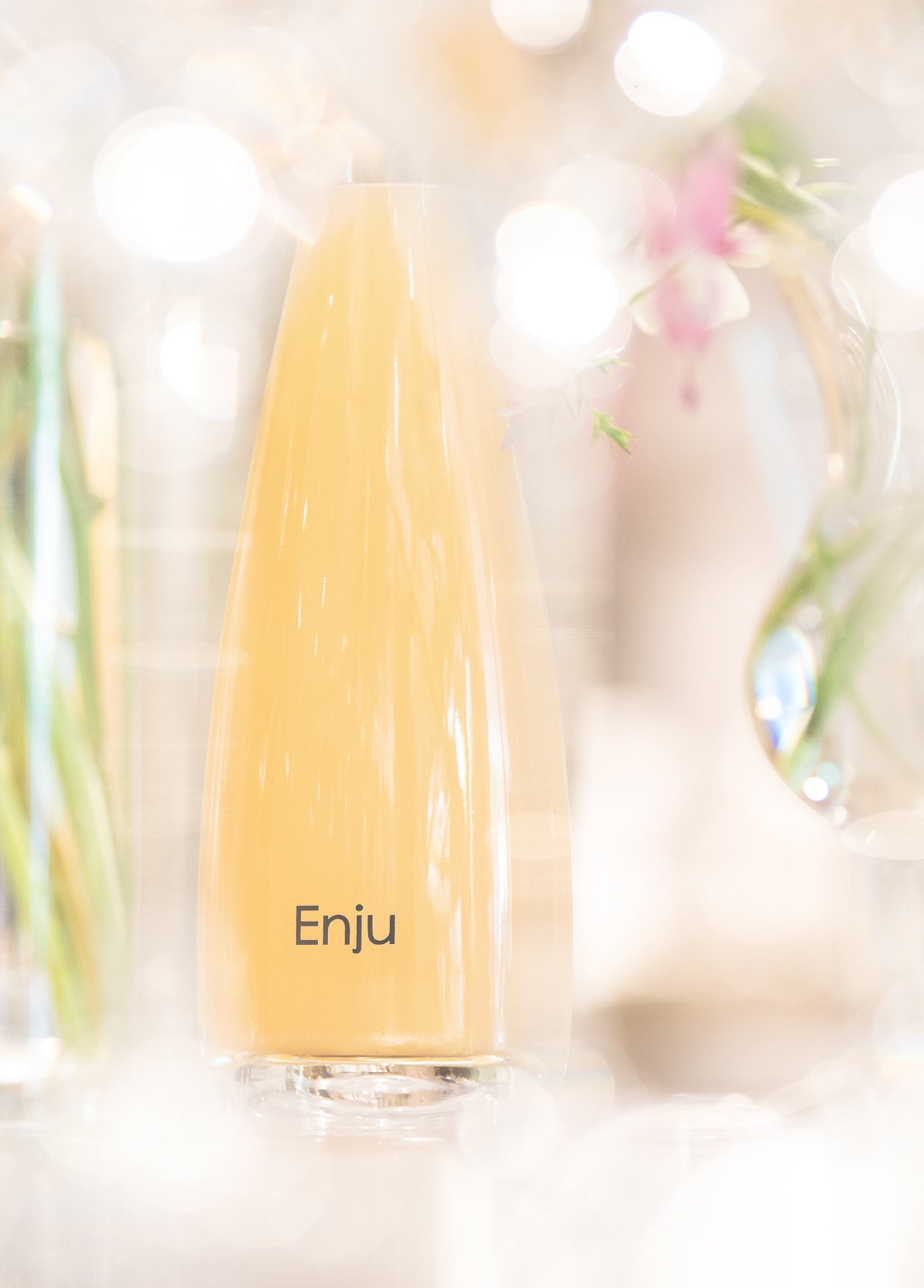 Enju Concept Image 1