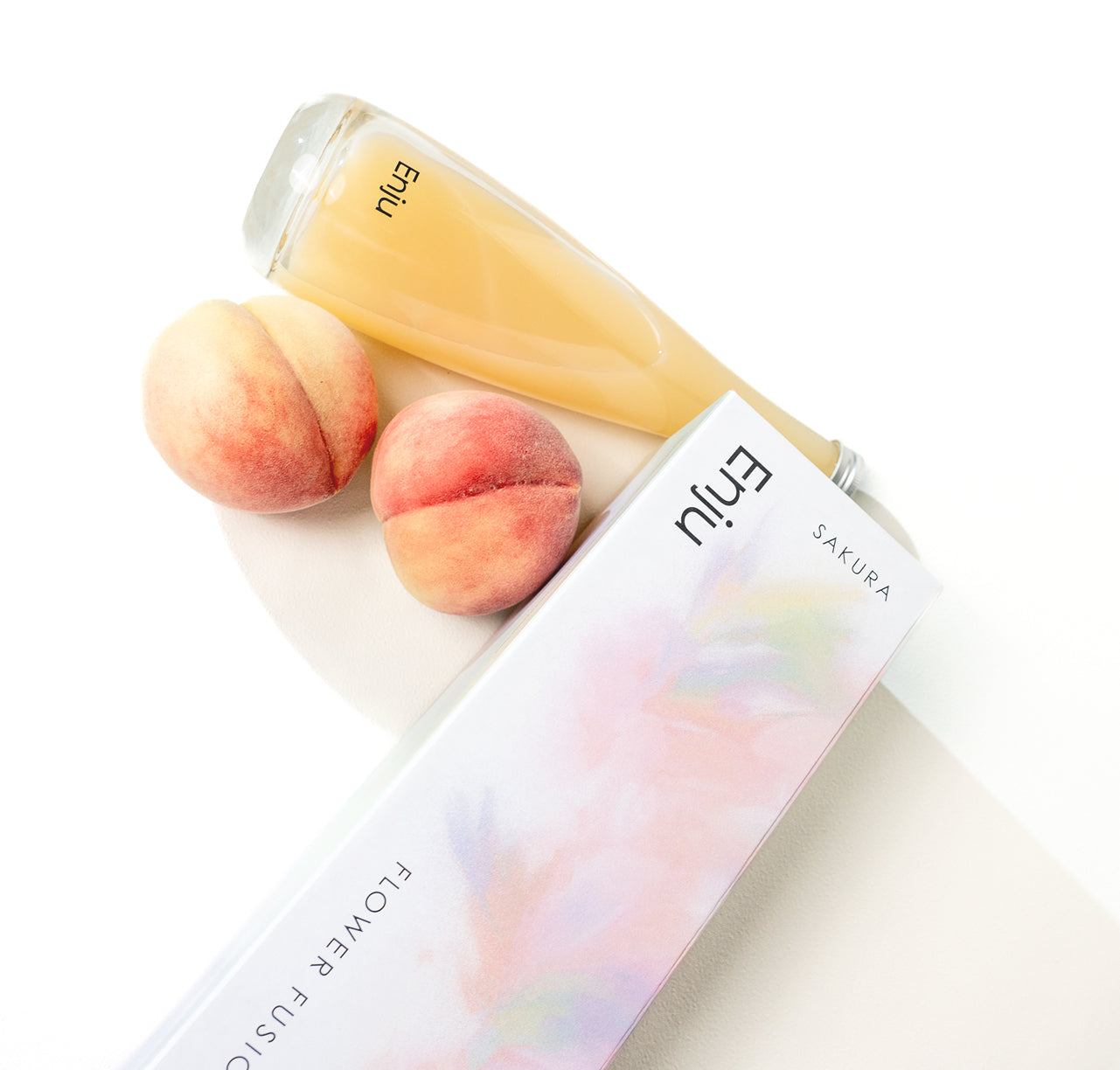 Enju Concept Image 2