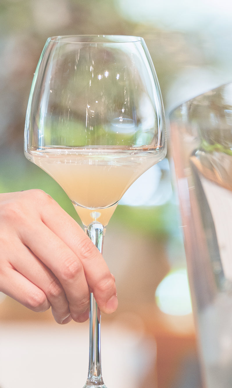 Enju Concept Image 3